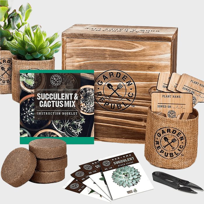 Cactus Succulent Seed Starter Kit Ecomm Via Amazon