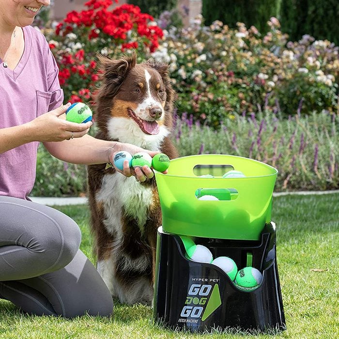 Godoggo Fetch Machine Dog Ball Launcher & Automatic Ball Launcher For Dogs Ecomm Amazon.com
