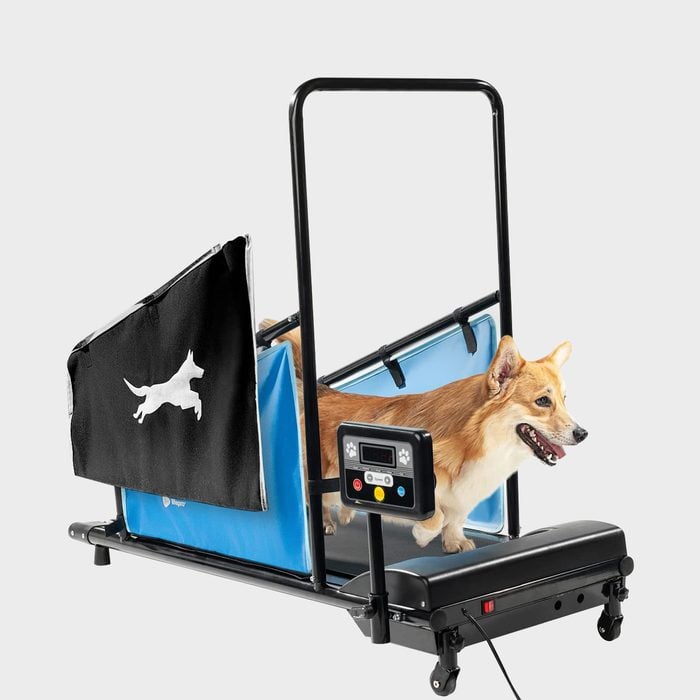 Lifepro Dog Treadmill Small Dogs Ecomm Amazon.com