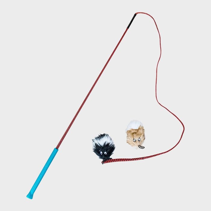 Outward Hound Dog Agility Training Kit Ecomm Amazon.com