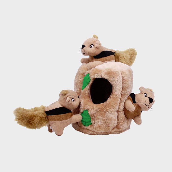 Outward Hound Hide A Squirrel Squeaky Puzzle Plush Dog Toy Ecomm Amazon.com