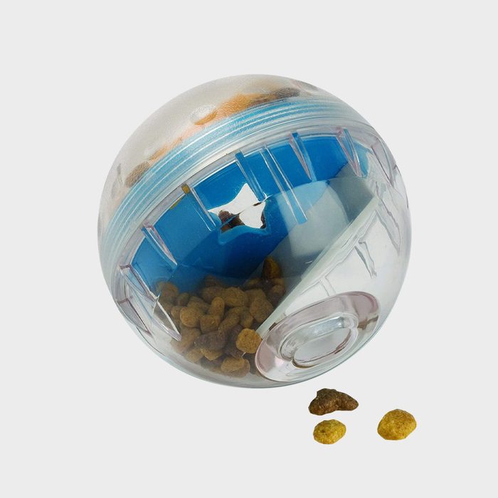 Pet Zone Iq Treat Ball Ecomm Amazon.com