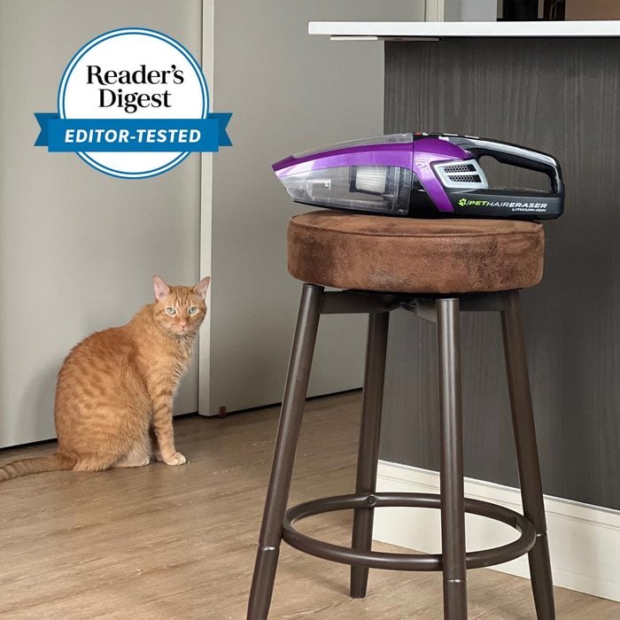 Rd Editor Tested Square Bissell Pet Hair Remover Reina Glenn
