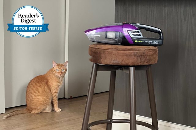Editors Tested Bissell Pet Hair Remover on a stool with a cat in the background
