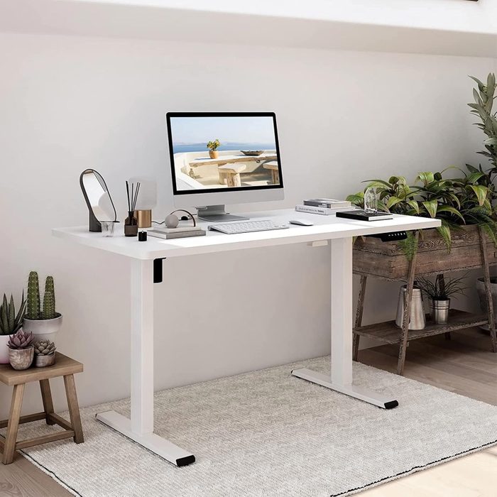 Flexispot EN1 Electric Stand Up Desk