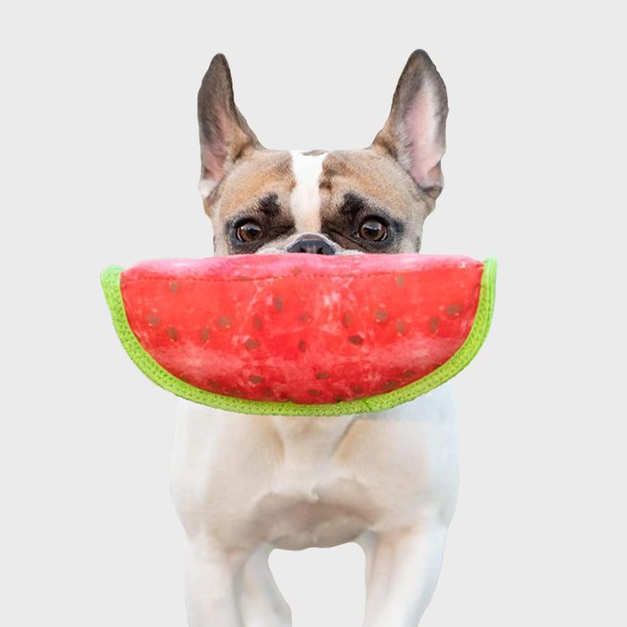 Rd Ecomm Watermelon Toy Via Boxdog.com