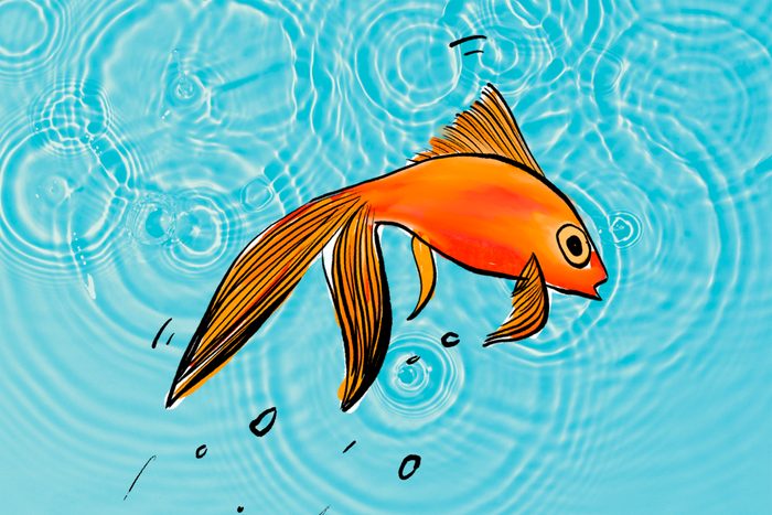 Illustration of a goldfish jumping on a teal water background