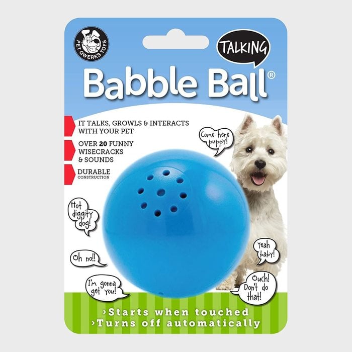Babble Ball Interactive Dog Toy Ecomm Via Amazon