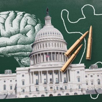 a brain, the Capitol building, ak-15 bullets, and a police chalk outline collaged on a green chalkboard background