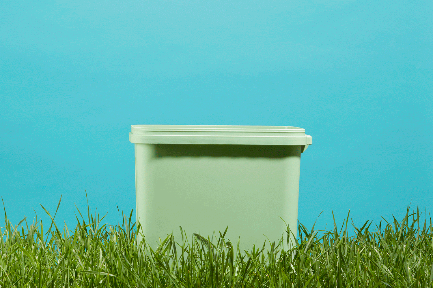 egg carton, milk carton, tin can, and glass bottle appearing in a recycling bin in grass on a blue background. Recycling for Sustainability