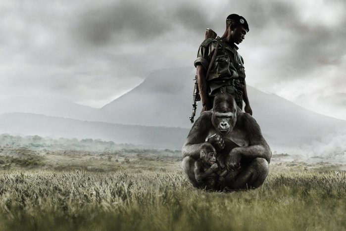 Virunga Movie Ecomm Via Netflix.com