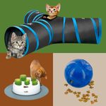 8 Interactive Puzzle Toys to Entertain Bored Cats