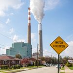 What Is Environmental Racism, and How Can We Fight It?