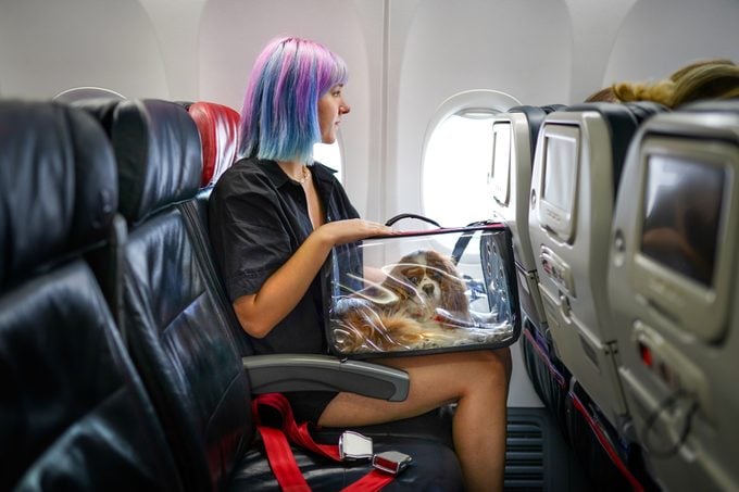Young woman on airplane with her pet in carry bag