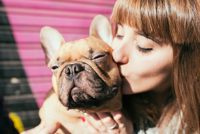 Portrait of young woman kissing French bulldog