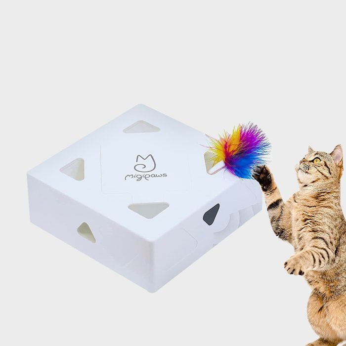 Migipaws Cat Toys, Interactive Automatic Mice 7 Holes Whack A Mole Ecomm Amazon.com