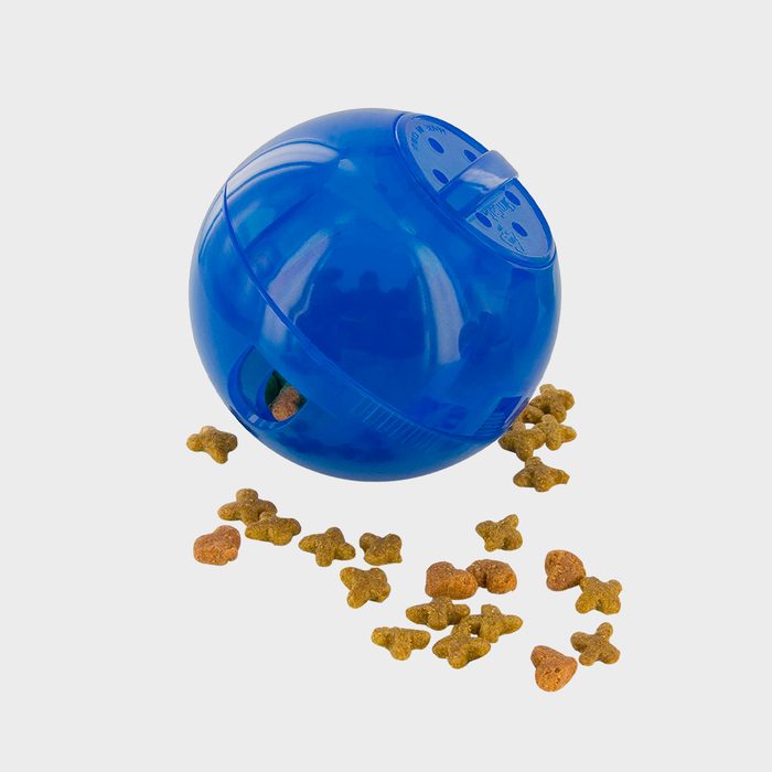Petsafe Slimcat Feeder Ball Interactive Game For Your Cat Ecomm Amazon.com
