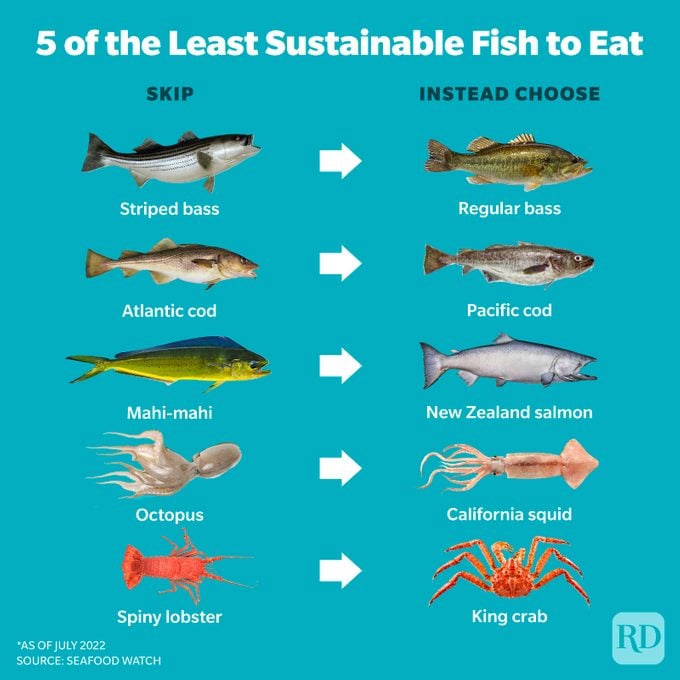 5 of the Least Sustainable Fish to Eat