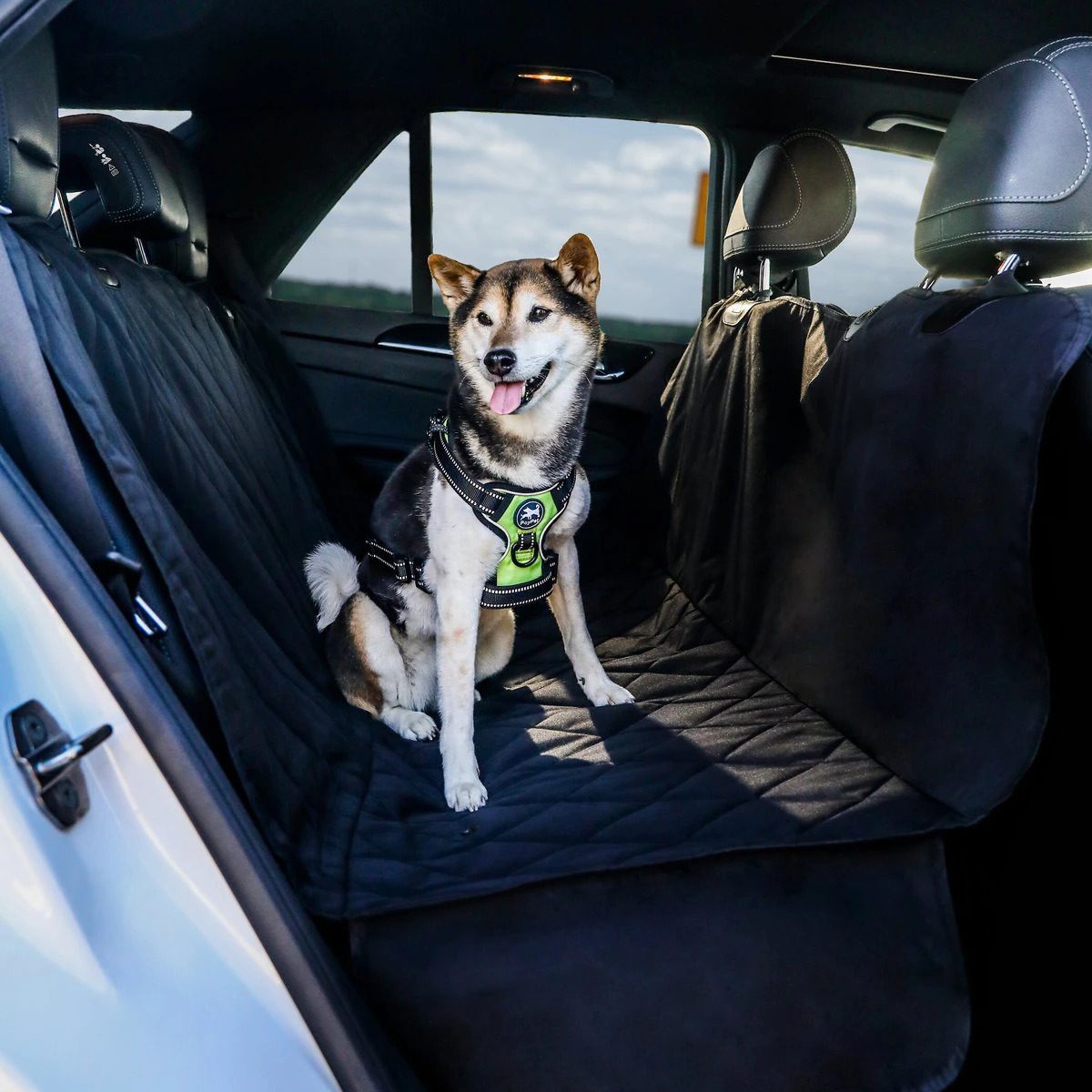 9 Best Dog Car Hammocks of 2023 - Vetstreet