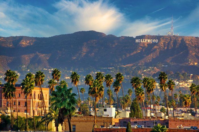 los angeles california and palm tress in foreground, famous hollywood sign in the hollywood hills in the background