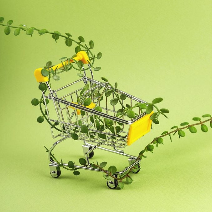 Shopping cart entwined with shoots of plants on green background. Conscious consumption