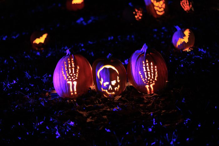 Row of carved pumpkins, spooky atmosphere