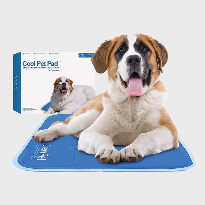 The Green Pet Shop Dog Cooling Mat Ecomm Via Amazon.com