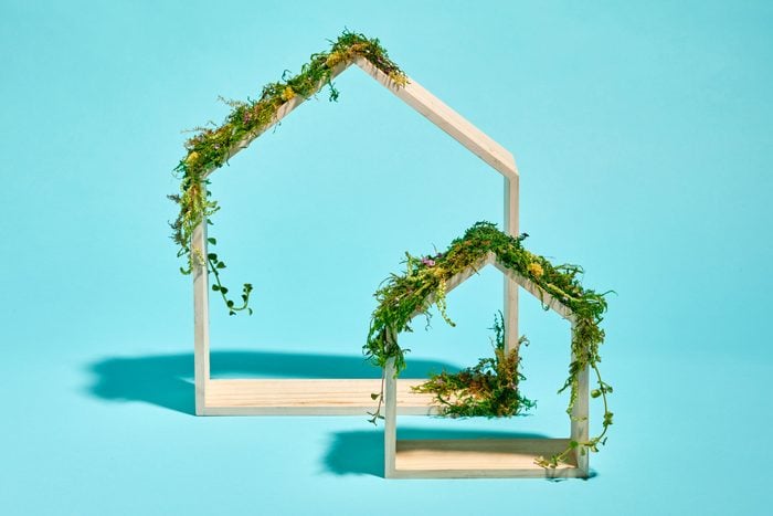 two wooden frames in the shape of houses on blue background. the house have moss and grass on them to symbolize sustainability and sustainable living