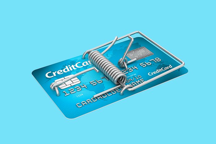 mouse trap credit card