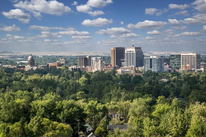 View of the downtown Boise, Idaho skyline with trees in the foreground
