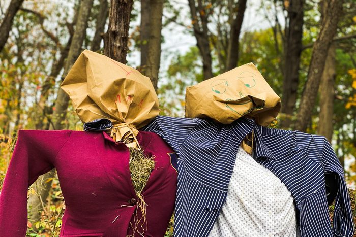 portrait of pair of scarecrows in a wooded area