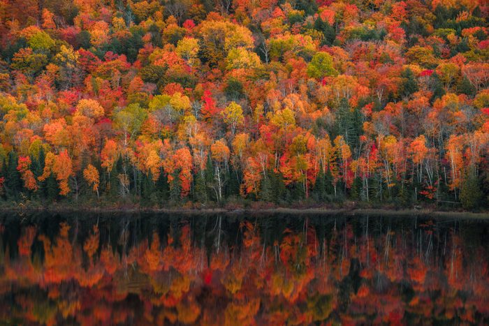 Lake of the Clouds Fall Color Reflections #1