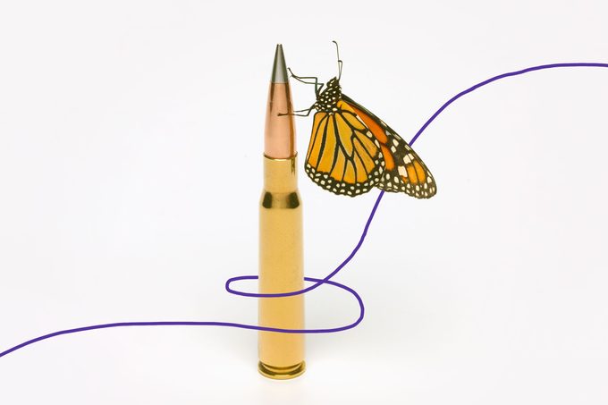 a butterfly rests on a bullet for an assault weapon on a white background. a purple line wraps around the two.