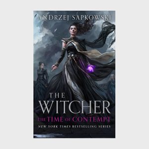 The Witcher The Time Of Contempt