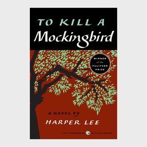 Rd Ecomm To Kill A Mockingbird Via Amazon.com
