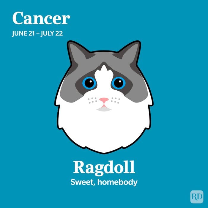 Ragdoll Cancer