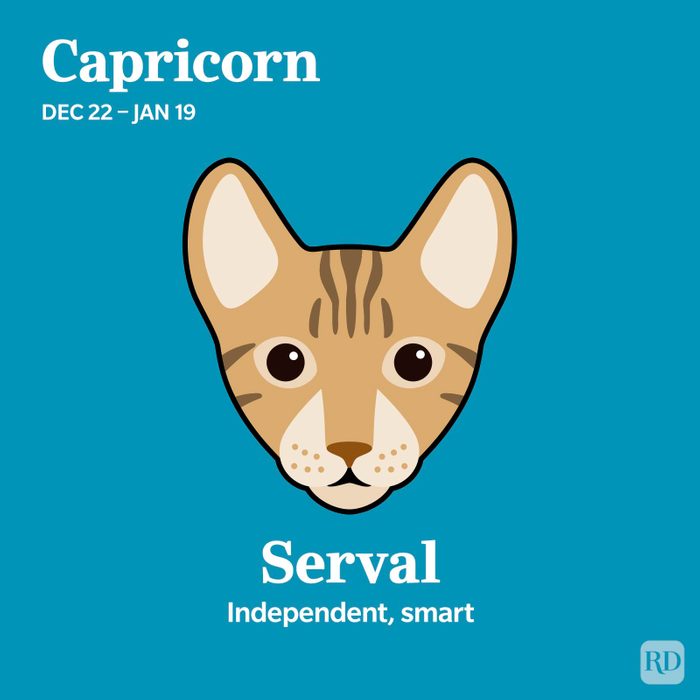 Serval Capricorn