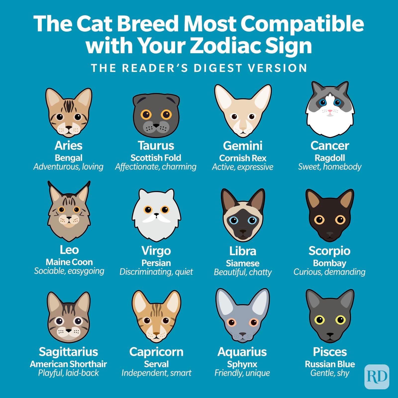 Zodiac Signs as Cat Breeds: Which Cat Is Best for You?
