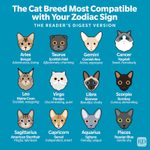 Which Cat Breed Is Most Compatible with Your Zodiac Sign?