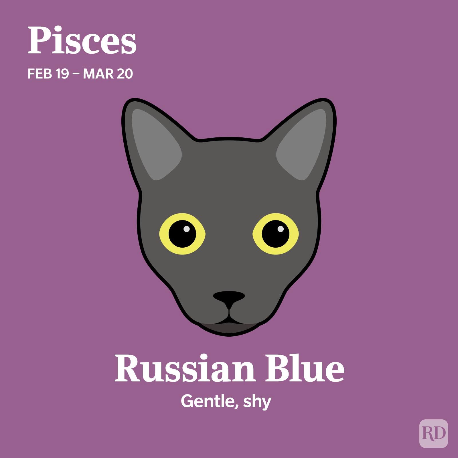 Russian Blue Pisces