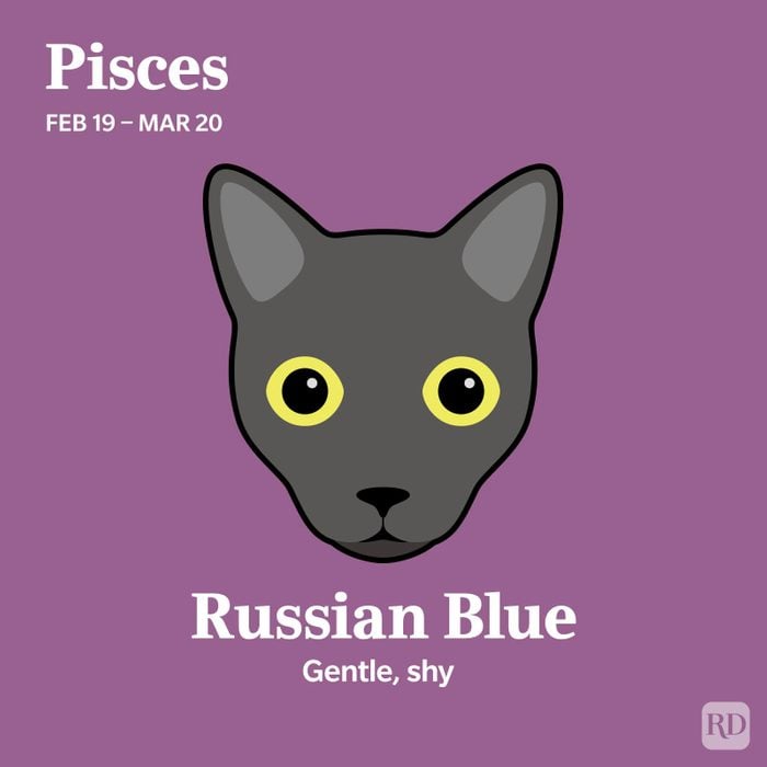 Russian Blue Pisces