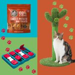 These Are the Absolute Best Amazon Black Friday Deals for Pets