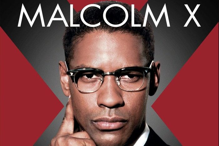 Malcolm X Ecomm Via Hbomax.com