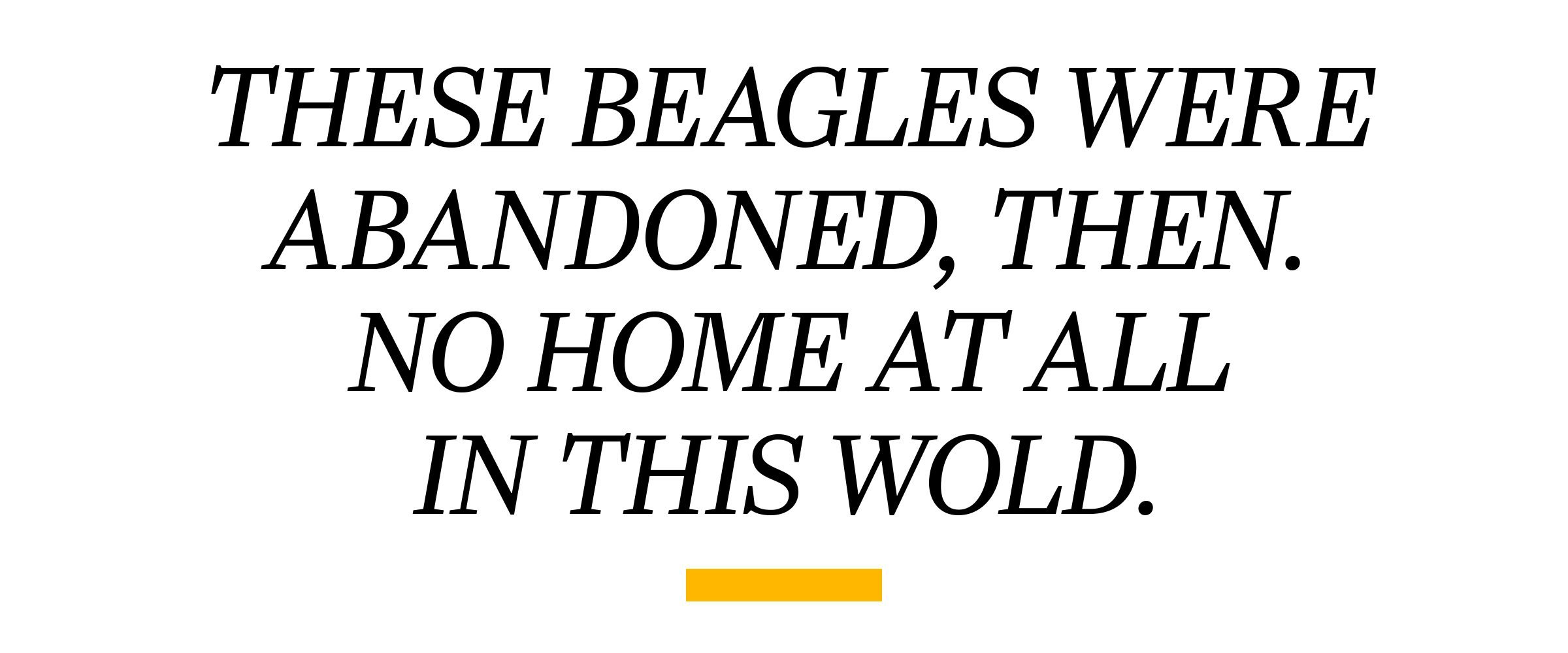 PULL QUOTE: These beagles were abandoned, then. No home at all in this world.