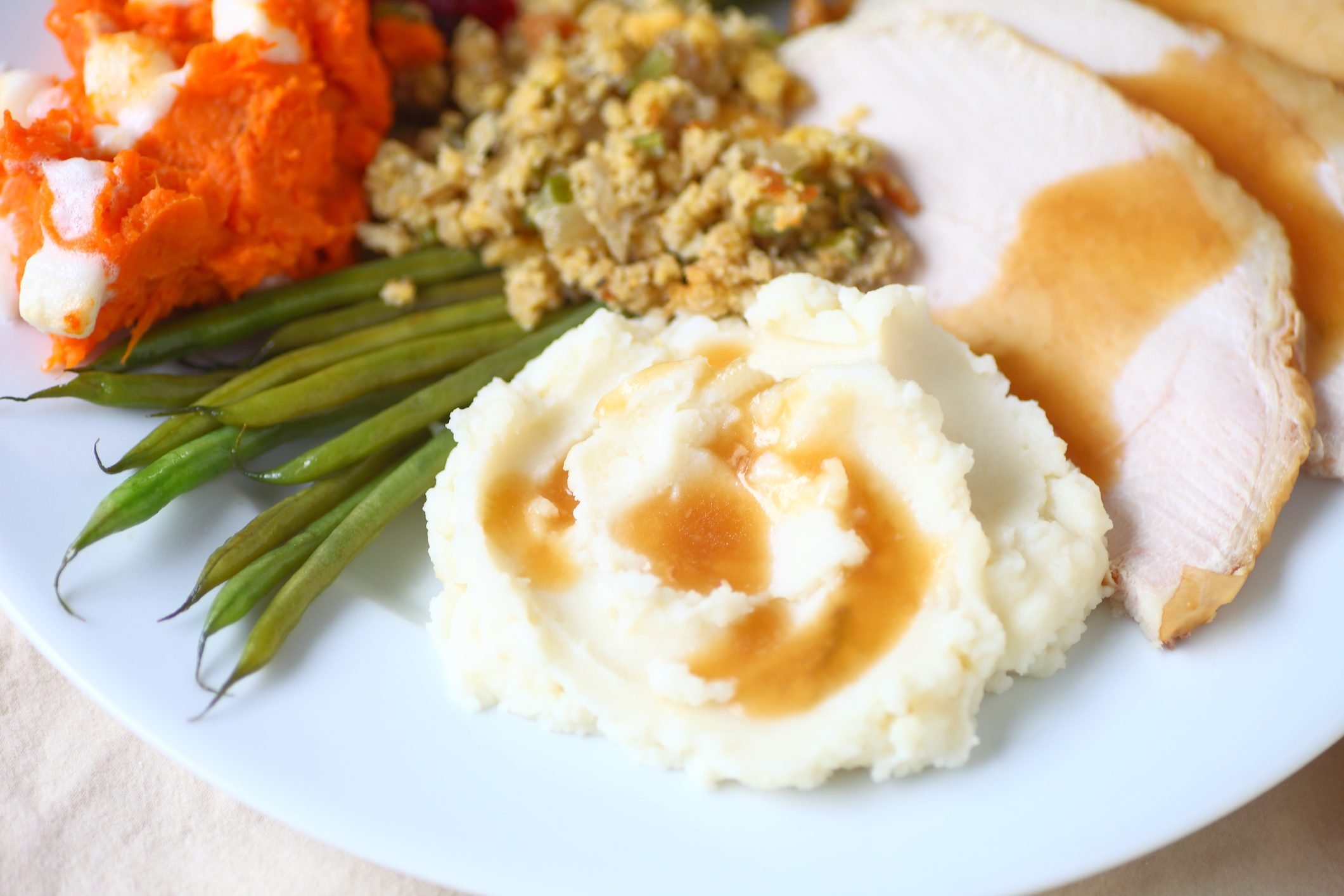 Turkey dinner on white plate