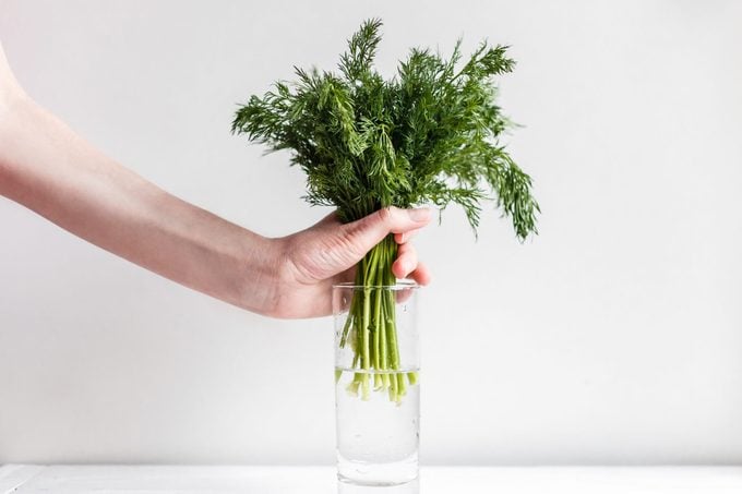 Female hands put fresh fennel into a glass with water