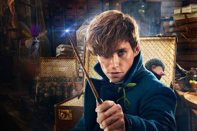Rd Ecomm Fantastic Beasts And Where To Find Them Via Play.hbomax.com