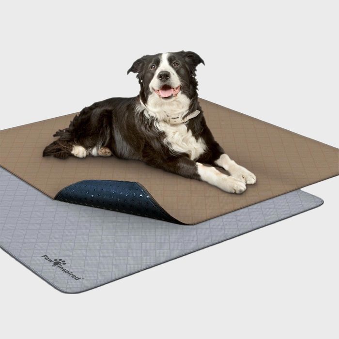 https://www.rd.com/wp-content/uploads/2022/11/RD-ecomm-Paw-Inspired-Washable-Dog-Pee-Pads-via-chewy.com_.jpg?fit=700%2C700