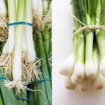 Scallions vs. Green Onions: What’s the Difference?