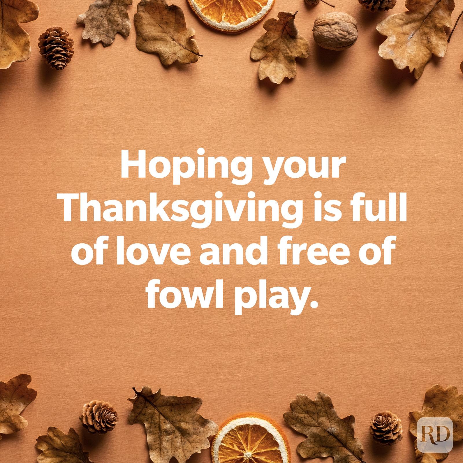 Hoping your Thanksgiving is full of love and free of fowl play.
